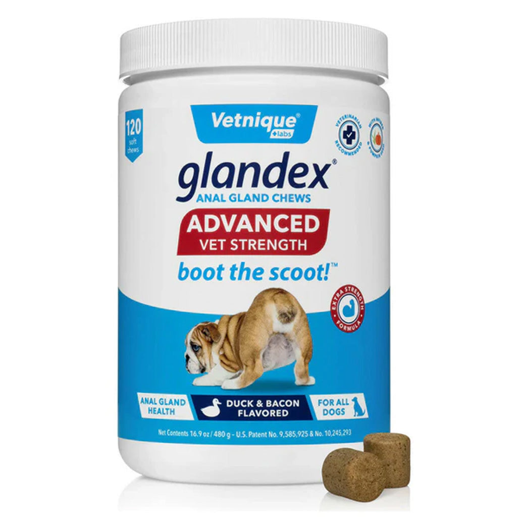 Glandex Advanced Vet Strength Chews for Dogs – Duck & Bacon 120 | UK Stock