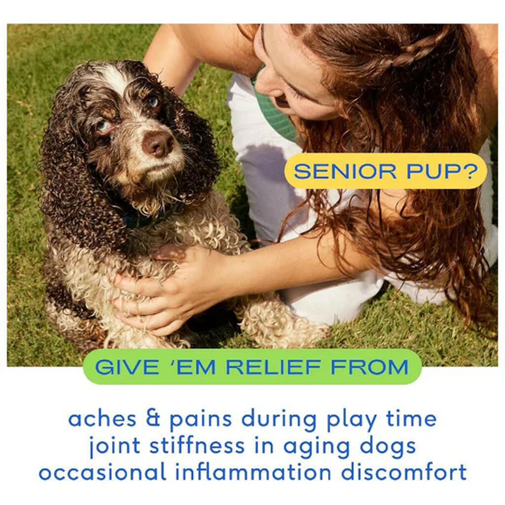 Woman holding a dog with text about senior dog care products Native pet Relief