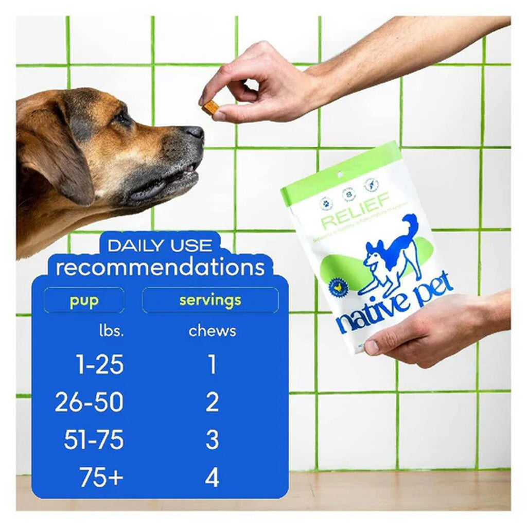 Dog receiving a treat from a hand, with a 'Native Pet' packaging and daily use recommendations chart.