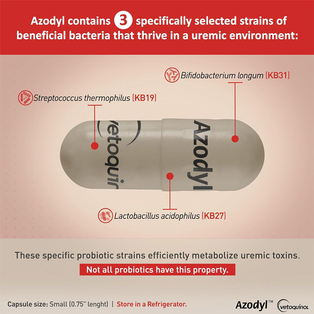 Azodyl small capsules for cats and dogs UK stock 3 strains of bacteria