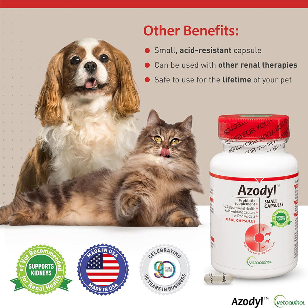 Azodyl small capsules for cats and dogs UK stock benefits