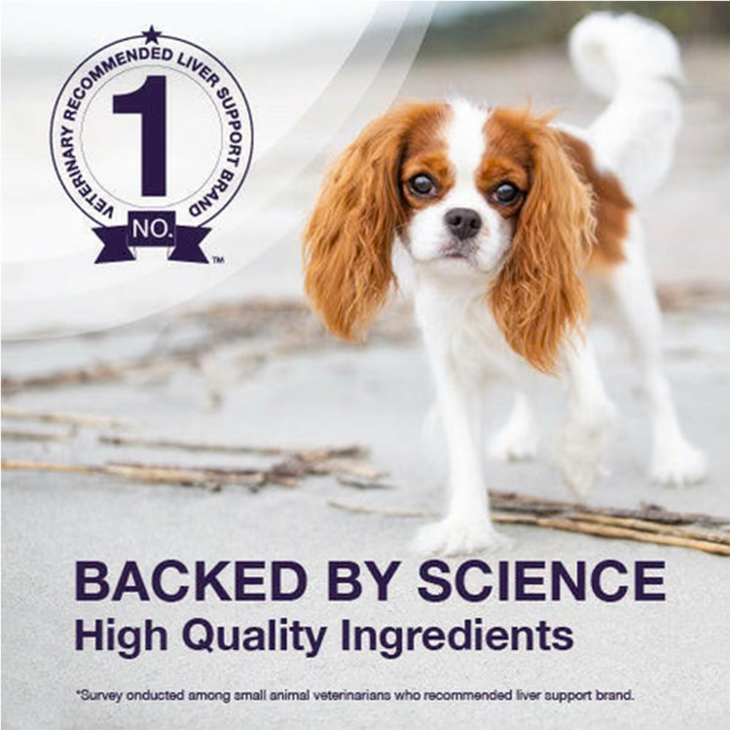 Nutramax Denamarin Liver Health Supplement for Dogs, With S-Adenosylmethionine (SAMe) and Silybin backed by science