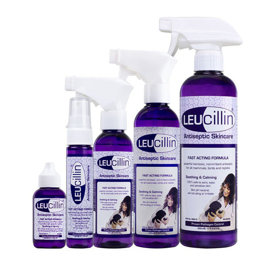 Leucillin group picture all sizes