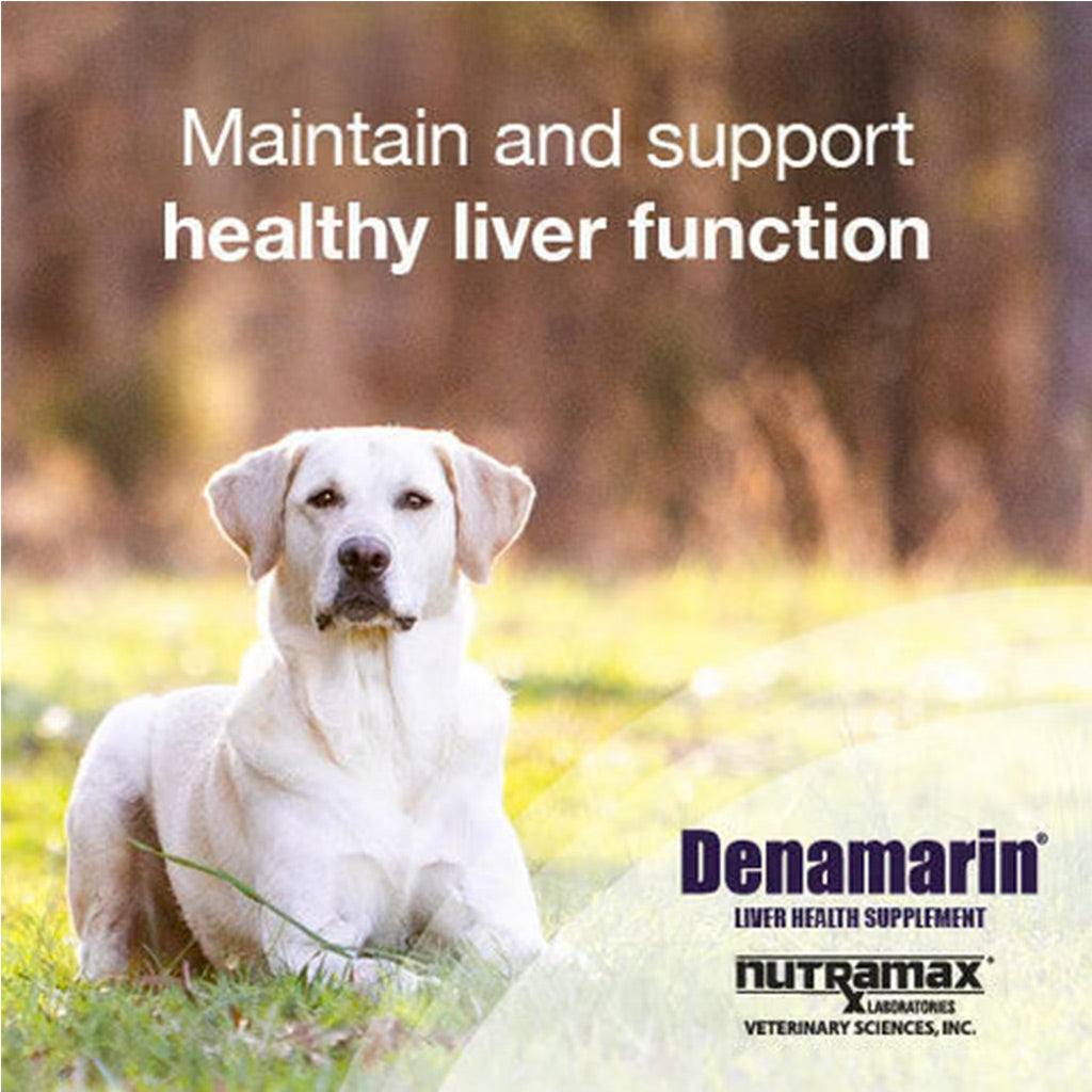 Nutramax Denamarin Liver Health Supplement for Dogs, With S-Adenosylmethionine (SAMe) and Silybin healthy liver function