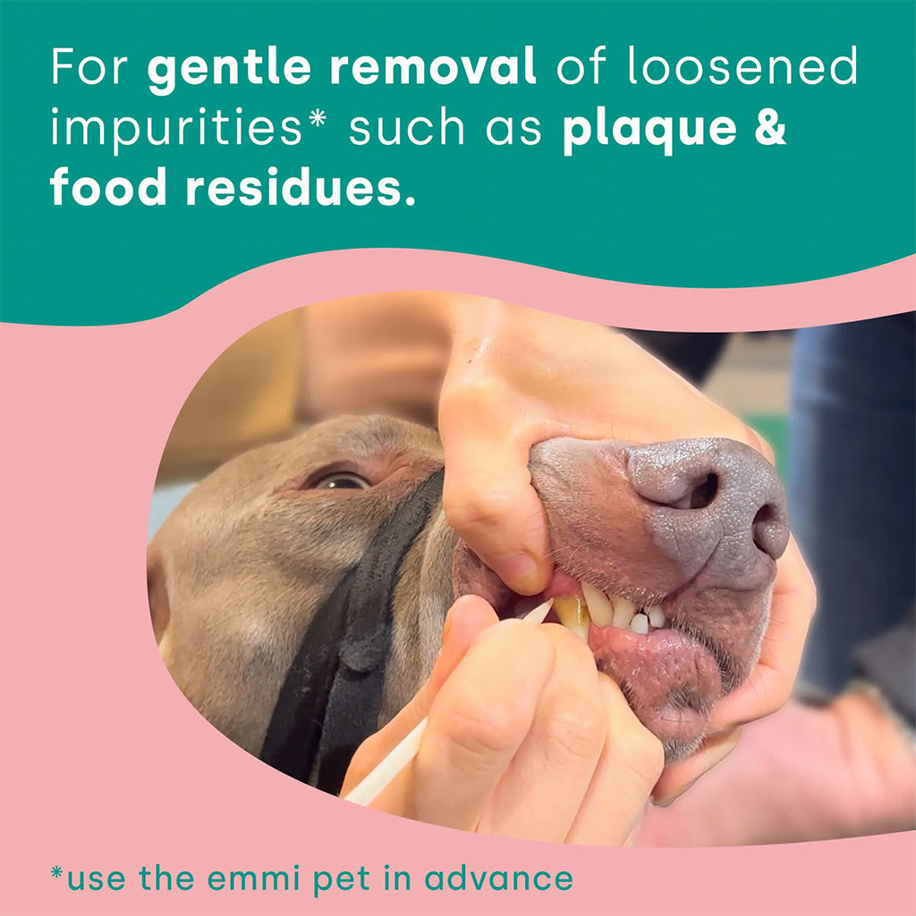 emmi-pet Rosewood sticks in use