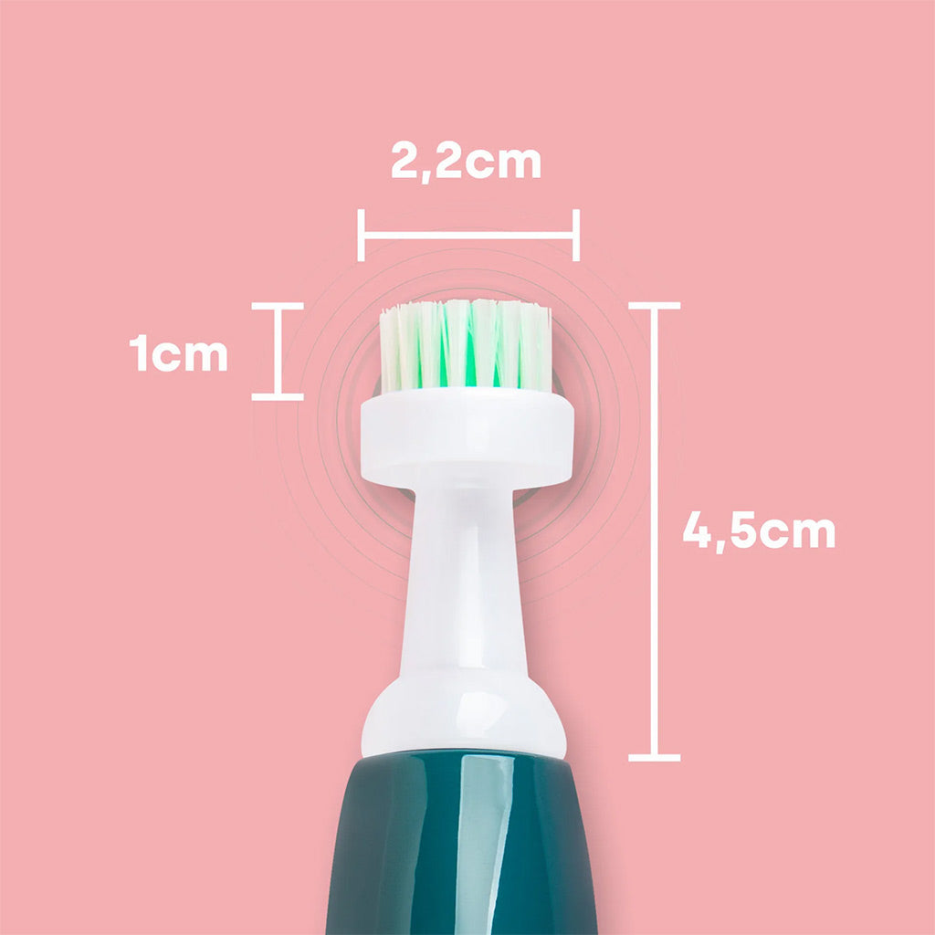 emmi-pet Skin Care P2 Attachments dimensions