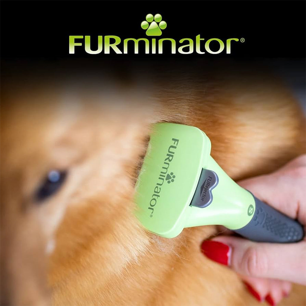Furminator small long hair brush tool using on dog