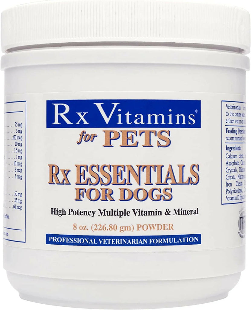 Jar of Rx Vitamins for Pets, specifically for dogs, on a white background