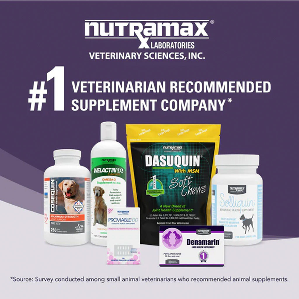 Nutramax | USA Made | Available in UK Now