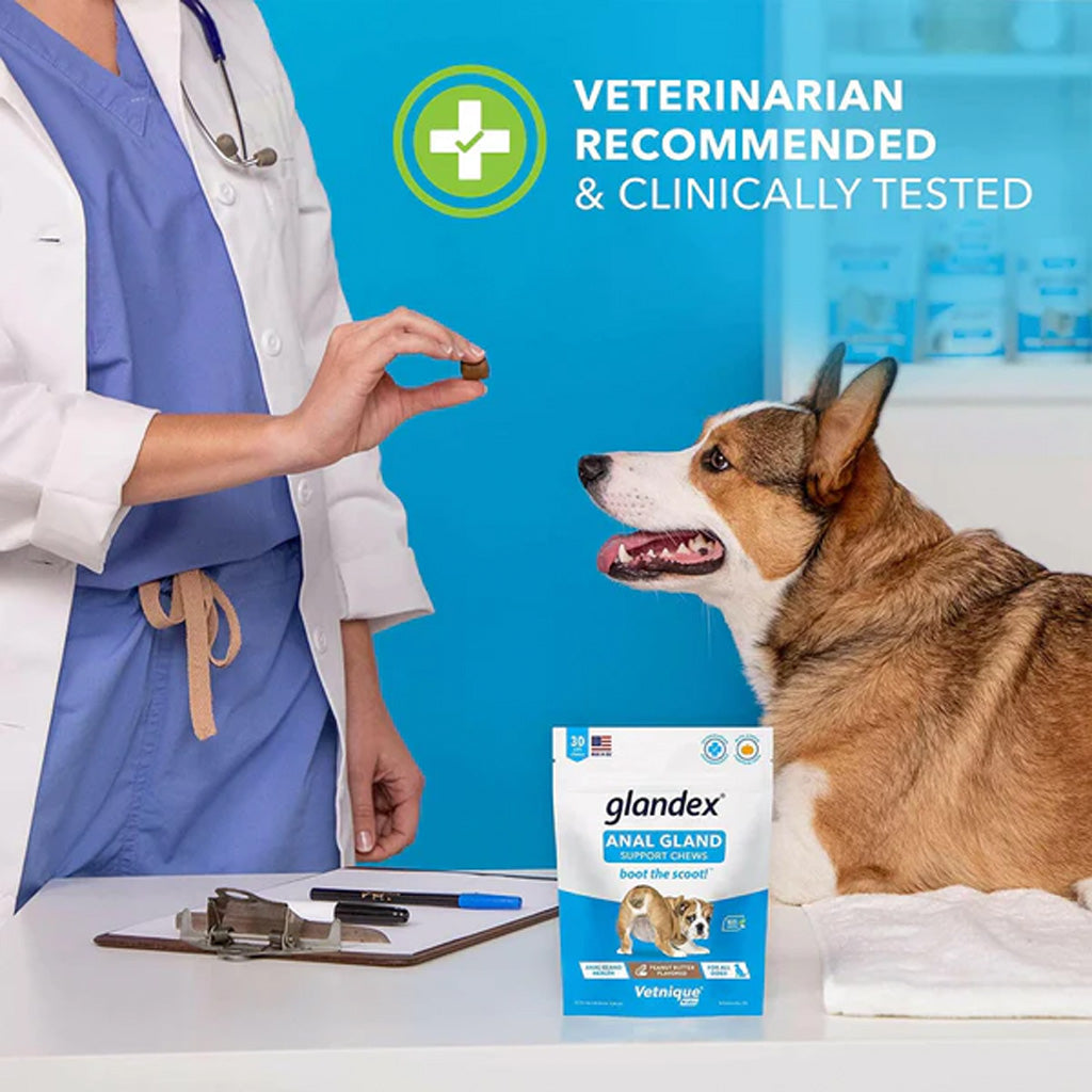Glandex Anal Gland Support Pork Liver Soft Chews for Dogs