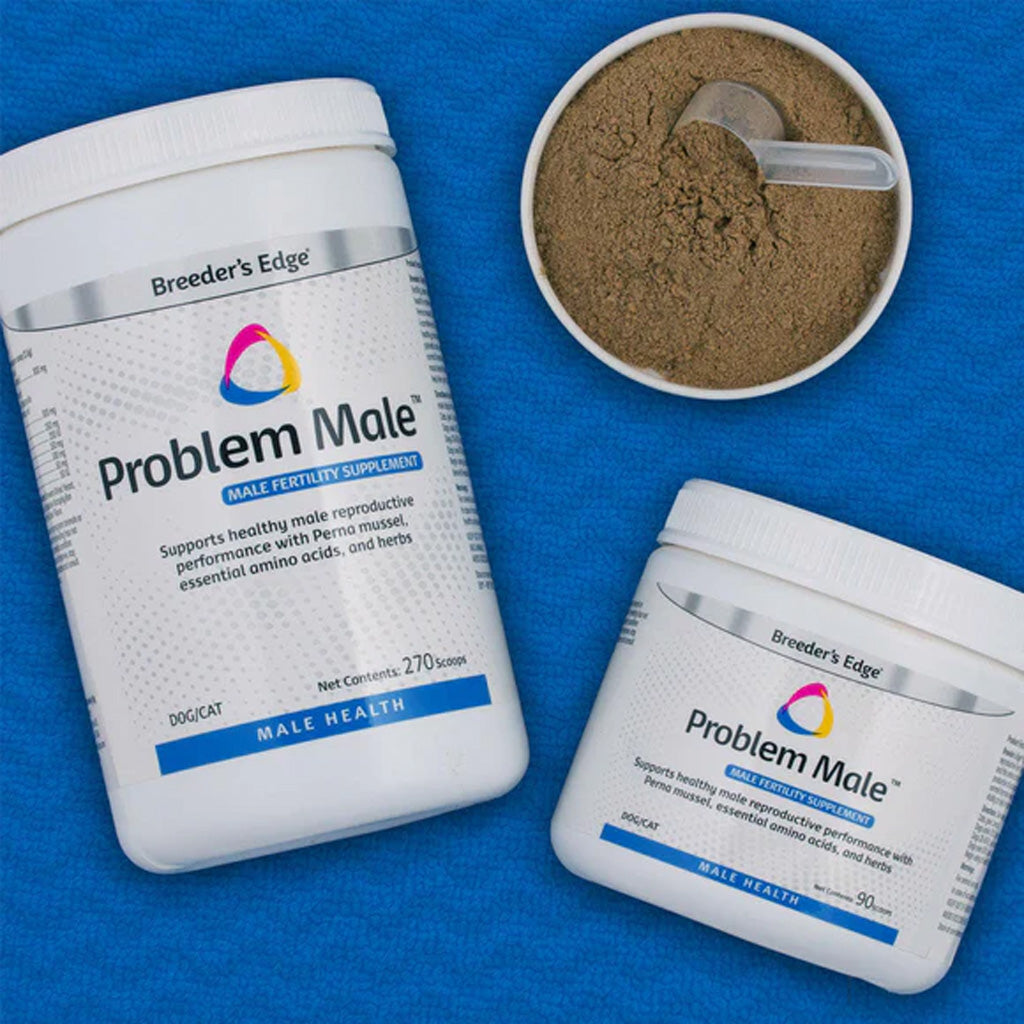Problem Male supplement packaging on a blue background