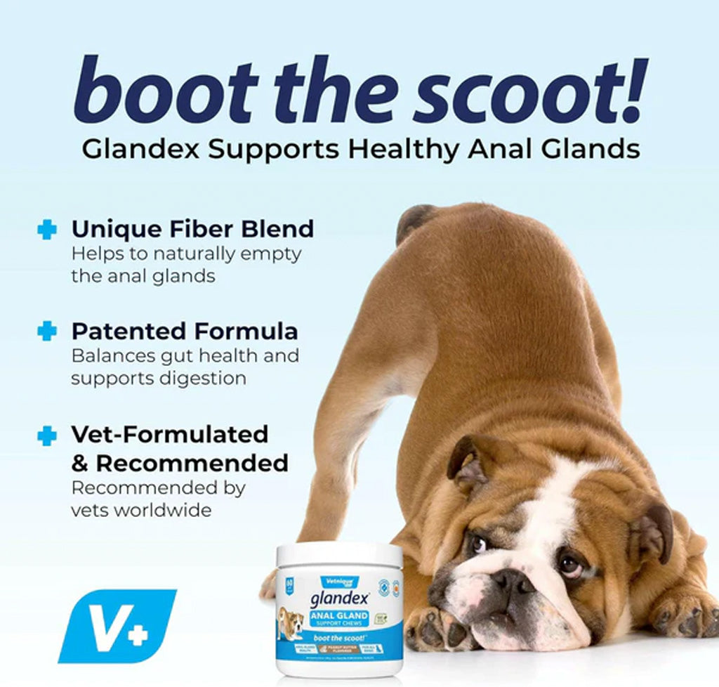 Glandex Anal Gland Support Pork Liver Soft Chews for Dogs boot the scoot