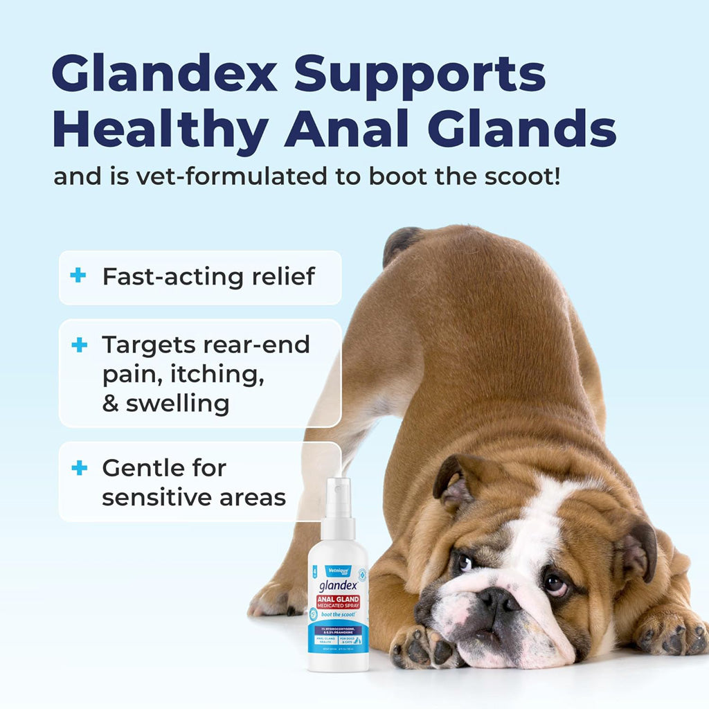 Glandex® Anal Gland Medicated Spray – Fast Relief for Scooting Pets – UK Stock