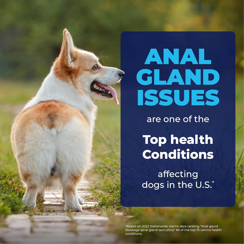 Glandex® Anal Gland Medicated Spray – Fast Relief for Scooting Pets – UK Stock