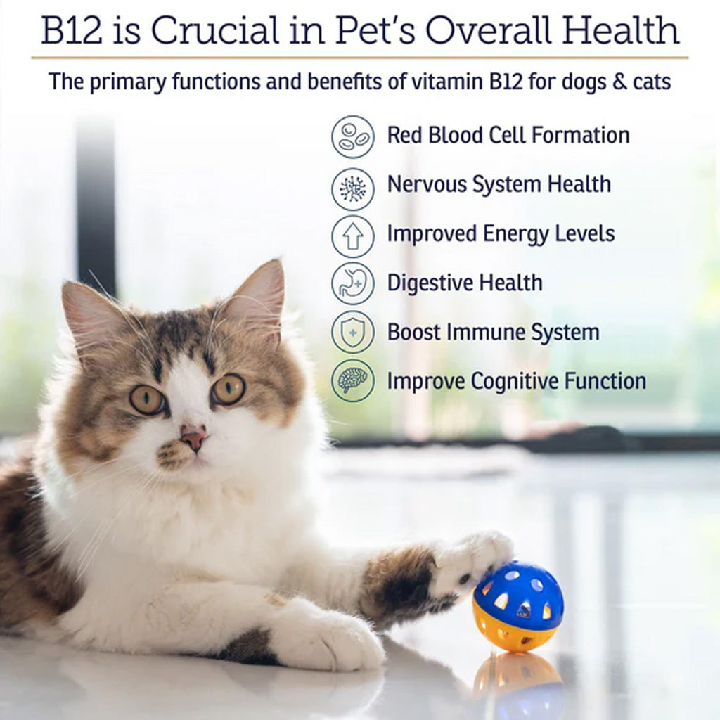 Rx Vitamins Rx B12 Liquid Digestive Supplement for Dogs & Cats – Vitamin B12 Support | Available in UK Now