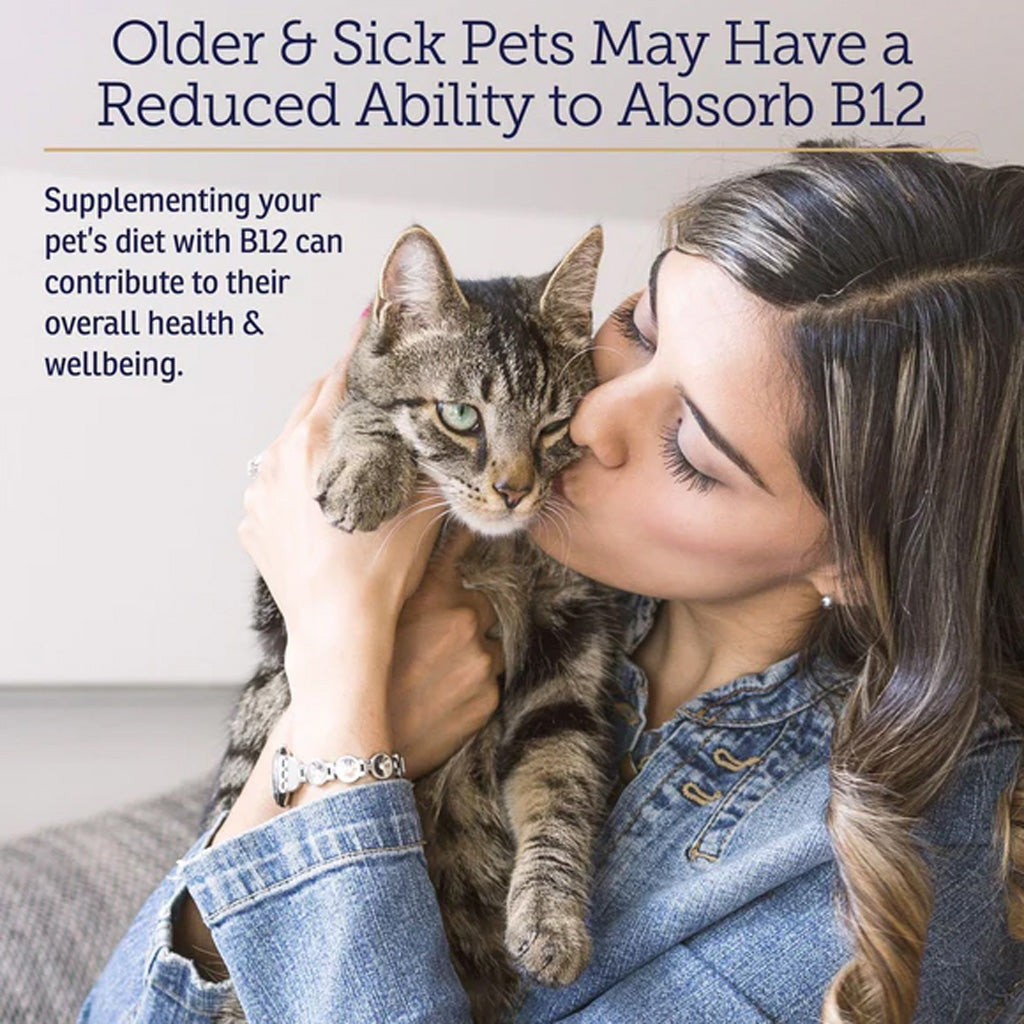 Rx Vitamins Rx B12 Liquid Digestive Supplement for Dogs & Cats – Vitamin B12 Support | Available in UK Now