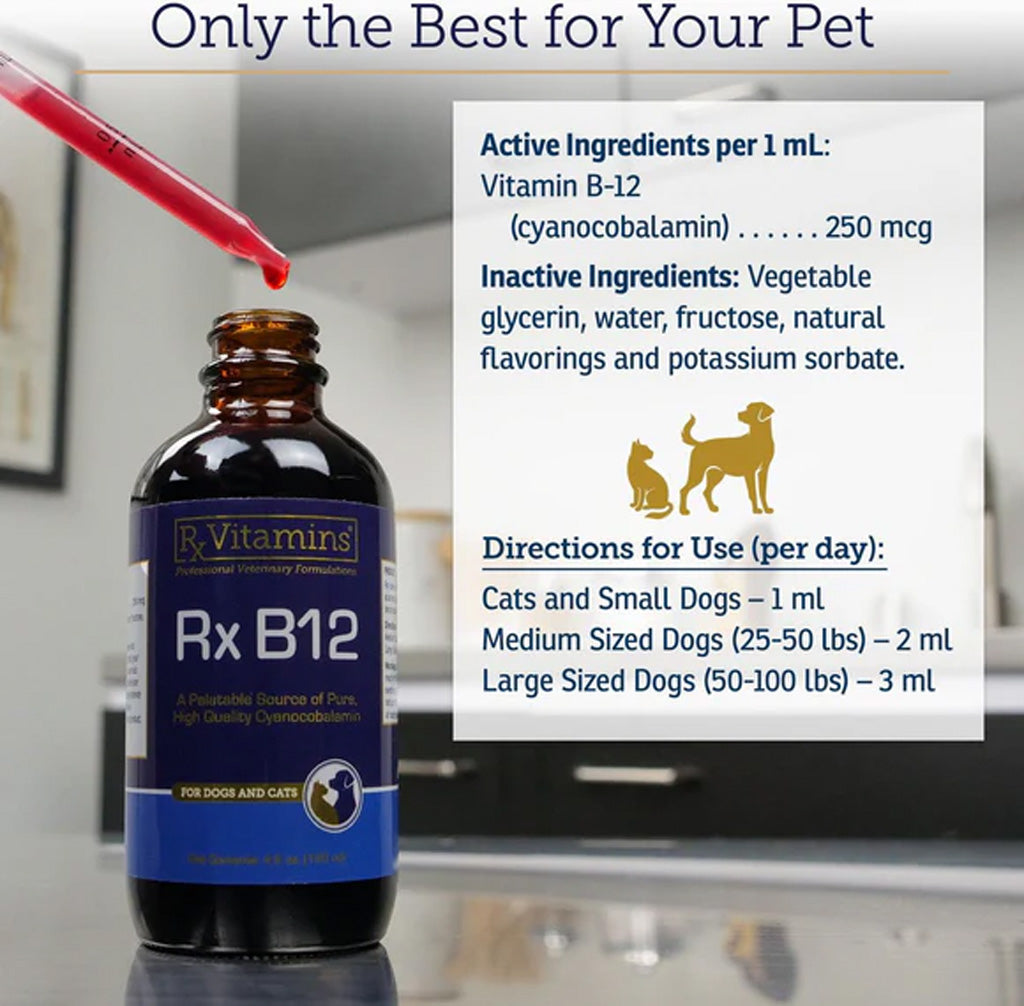 Rx Vitamins Rx B12 Liquid Digestive Supplement for Dogs & Cats – Vitamin B12 Support | Available in UK Now