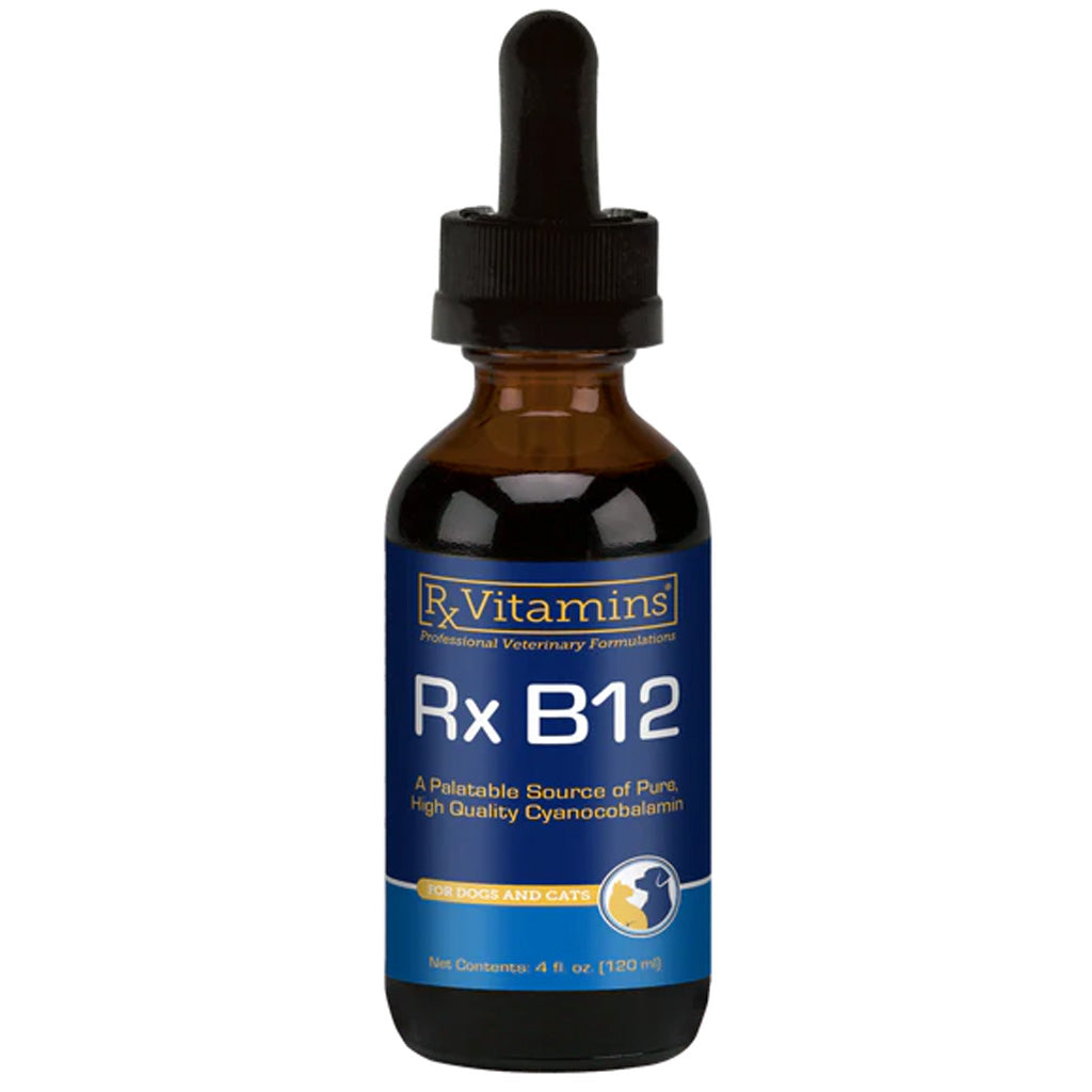 Rx Vitamins Rx B12 Liquid Digestive Supplement for Dogs & Cats – Vitamin B12 Support | Available in UK Now
