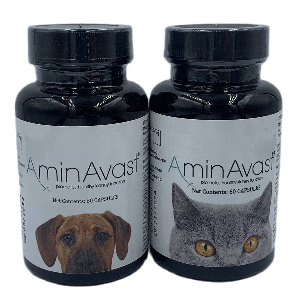 AminAvast kidney supplement for dogs and cats