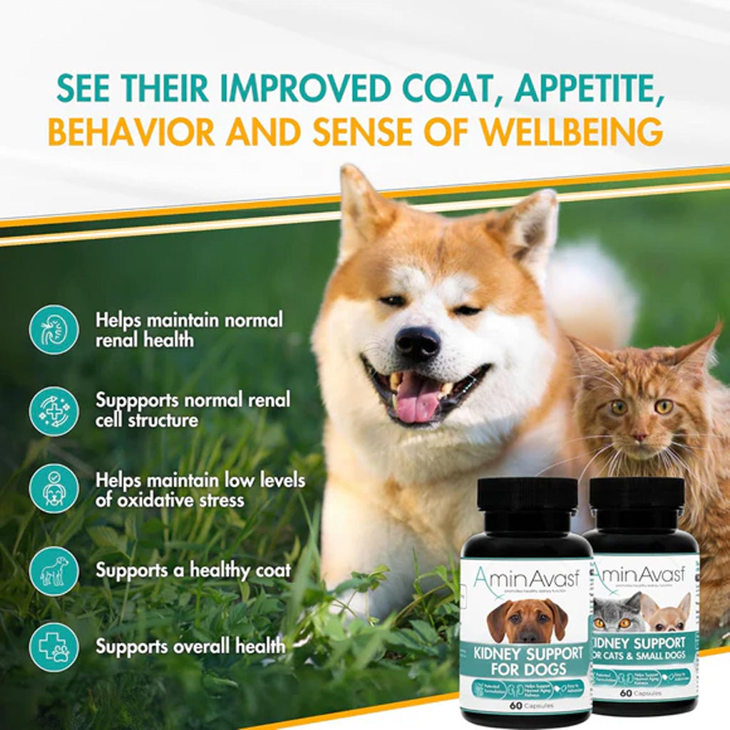AminAvast Kidney Support for Dogs – Advanced Renal Health Supplement UK Stock