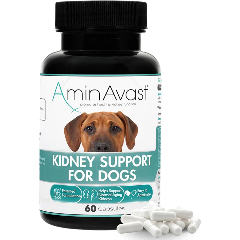 AminAvast Kidney Support for Dogs – Advanced Renal Health Supplement UK Stock