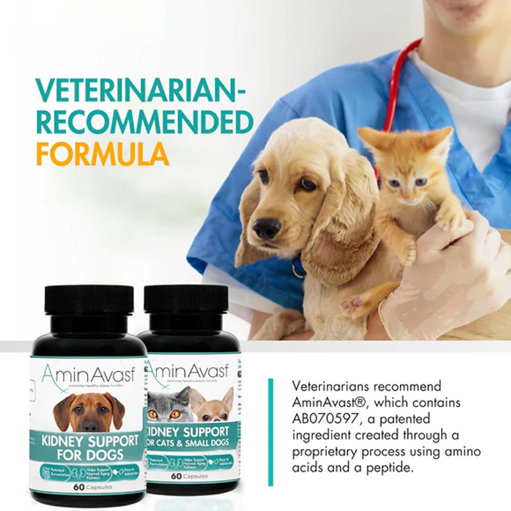 AminAvast Kidney Support for Dogs – Advanced Renal Health Supplement UK Stock