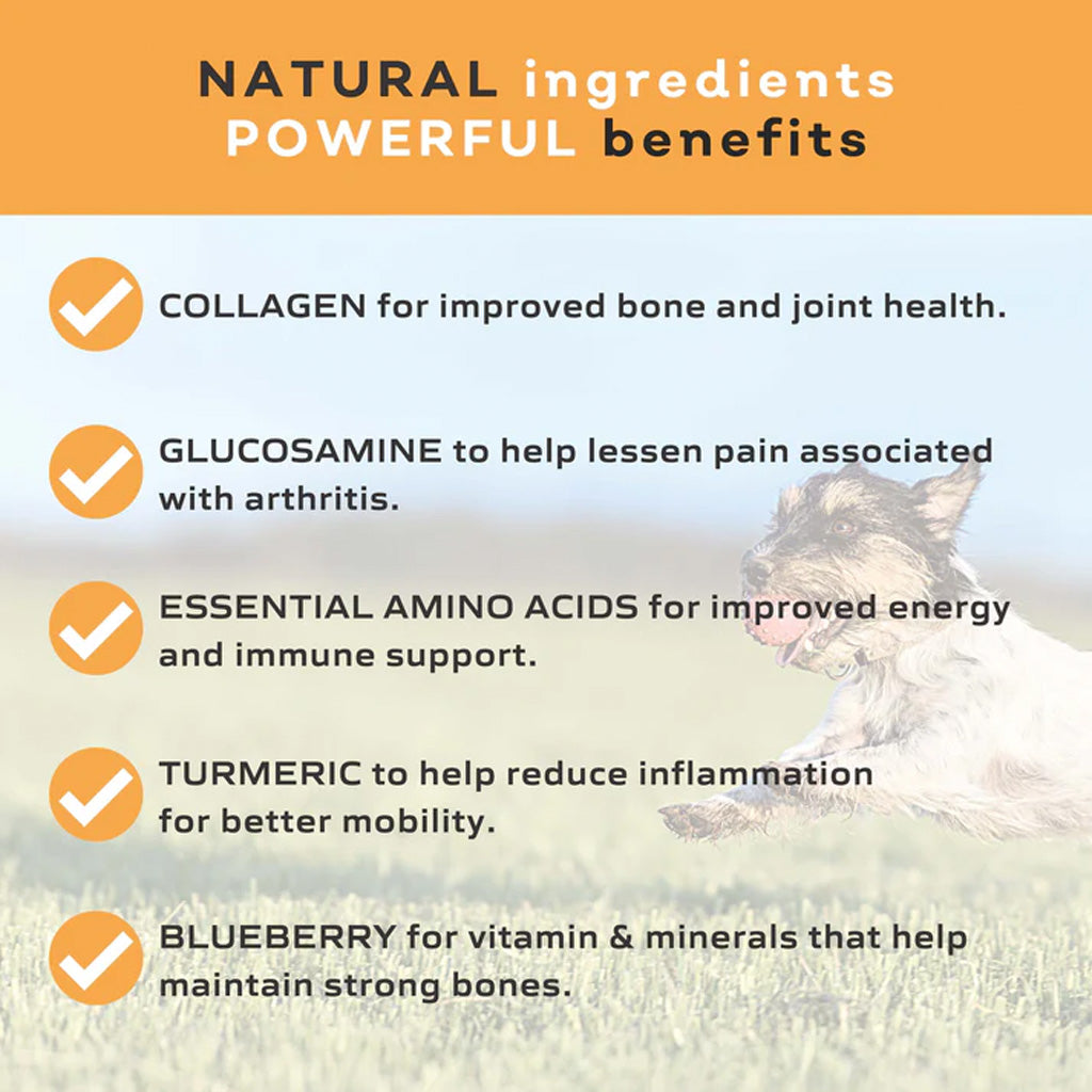 MYOS® Collagen Chews – Joint & Mobility Support for Dogs | UK