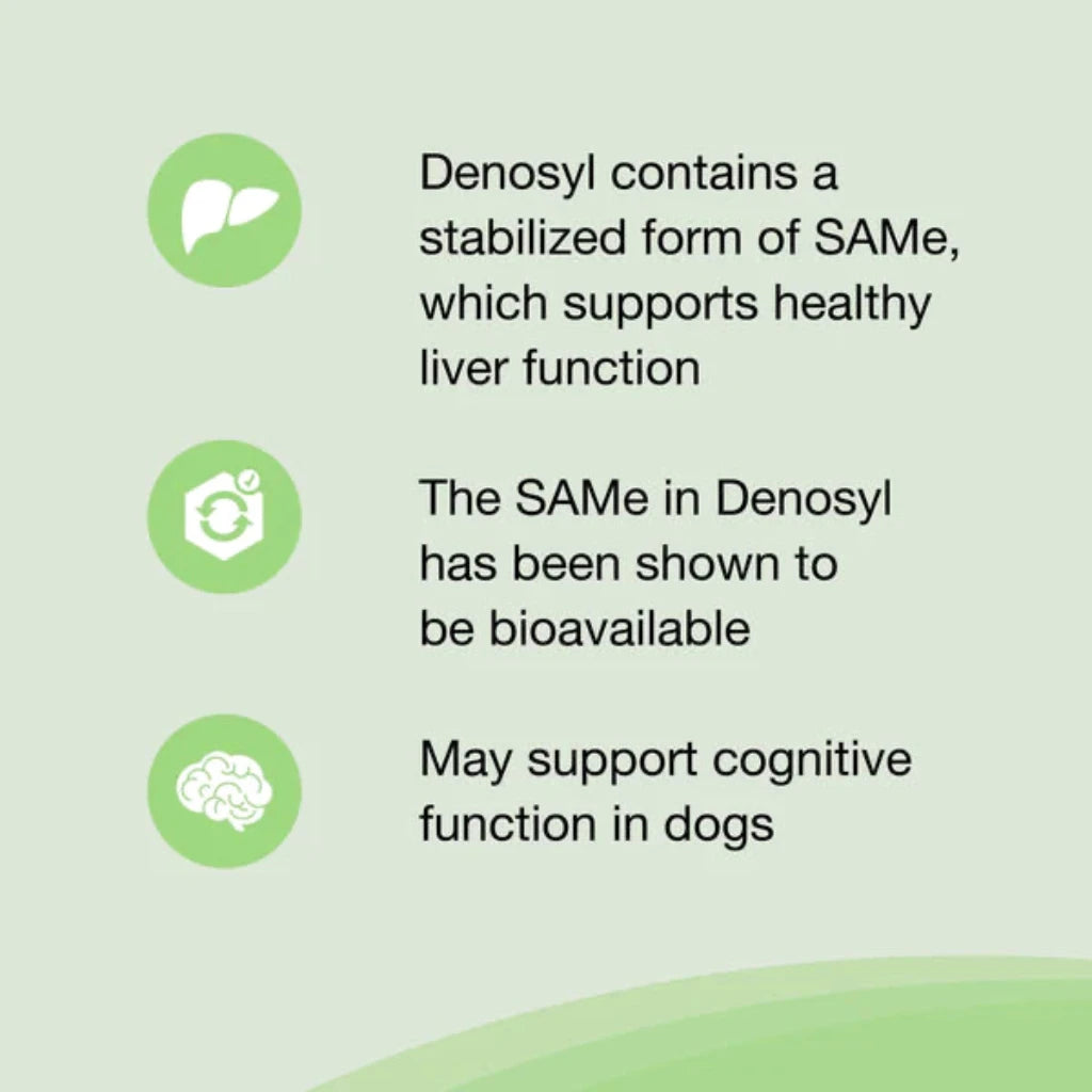 Nutramax Denosyl Liver and Brain Health Supplement for Large Dogs, With S-Adenosylmethionine (SAMe) info