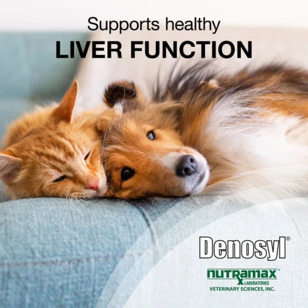 Nutramax denosyl supports liver function