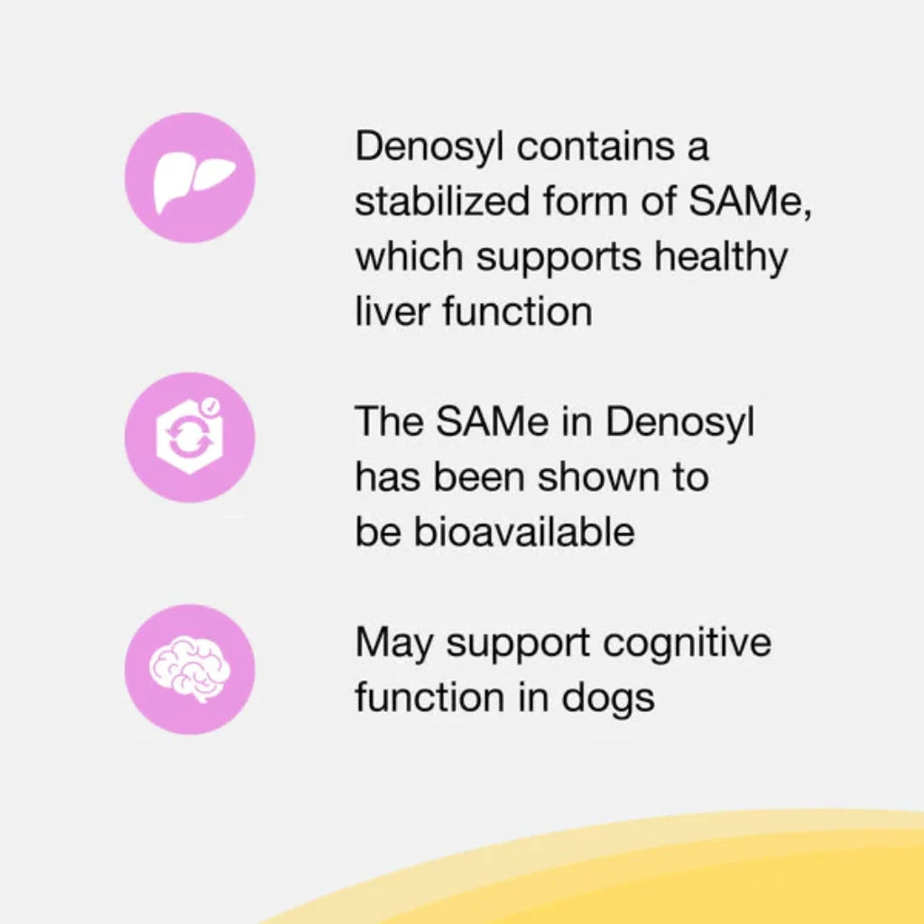 Nutramax Denosyl Liver and Brain Health Supplement for Small Dogs and Cats, With S-Adenosylmethionine (SAMe) about