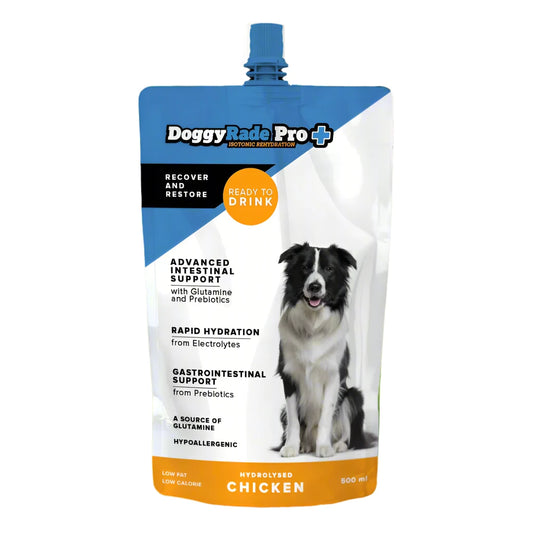 Doggy Rade pro supplement drink rapid hydration advanced intestinal support gastrointestinal support
