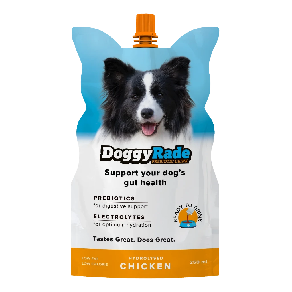 Doggyrade supplement drink for dogs prebiotics electrolytes