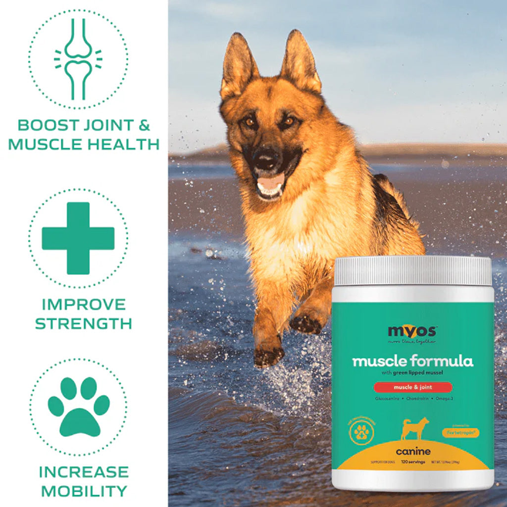 MYOS® Muscle and Joint Formula for Dogs | UK Stock