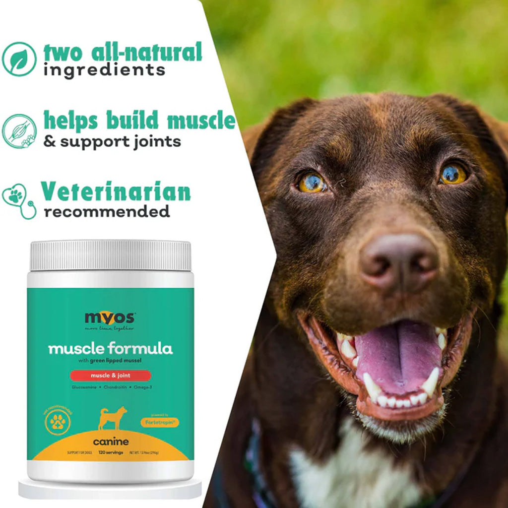 MYOS® Muscle and Joint Formula for Dogs | UK Stock
