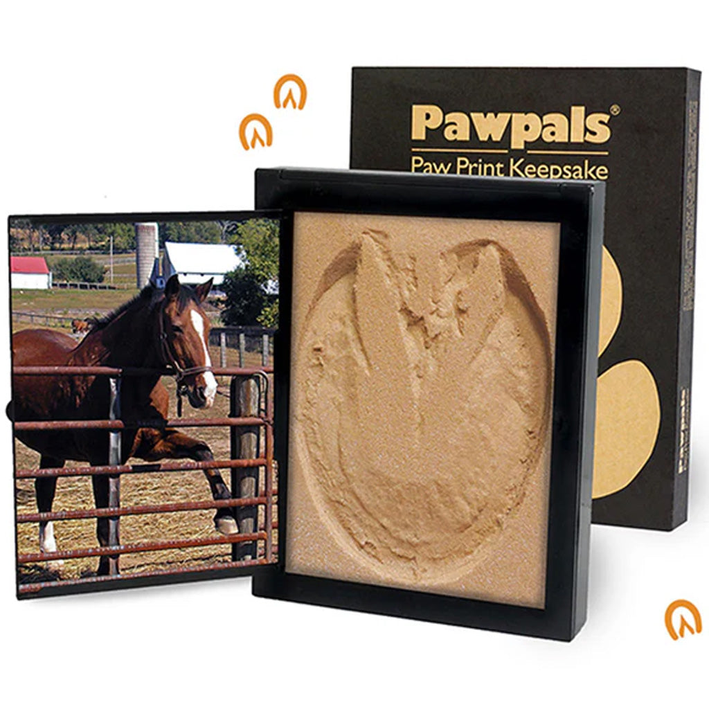 Pawpals paw print keepsake with a horse photo and packaging