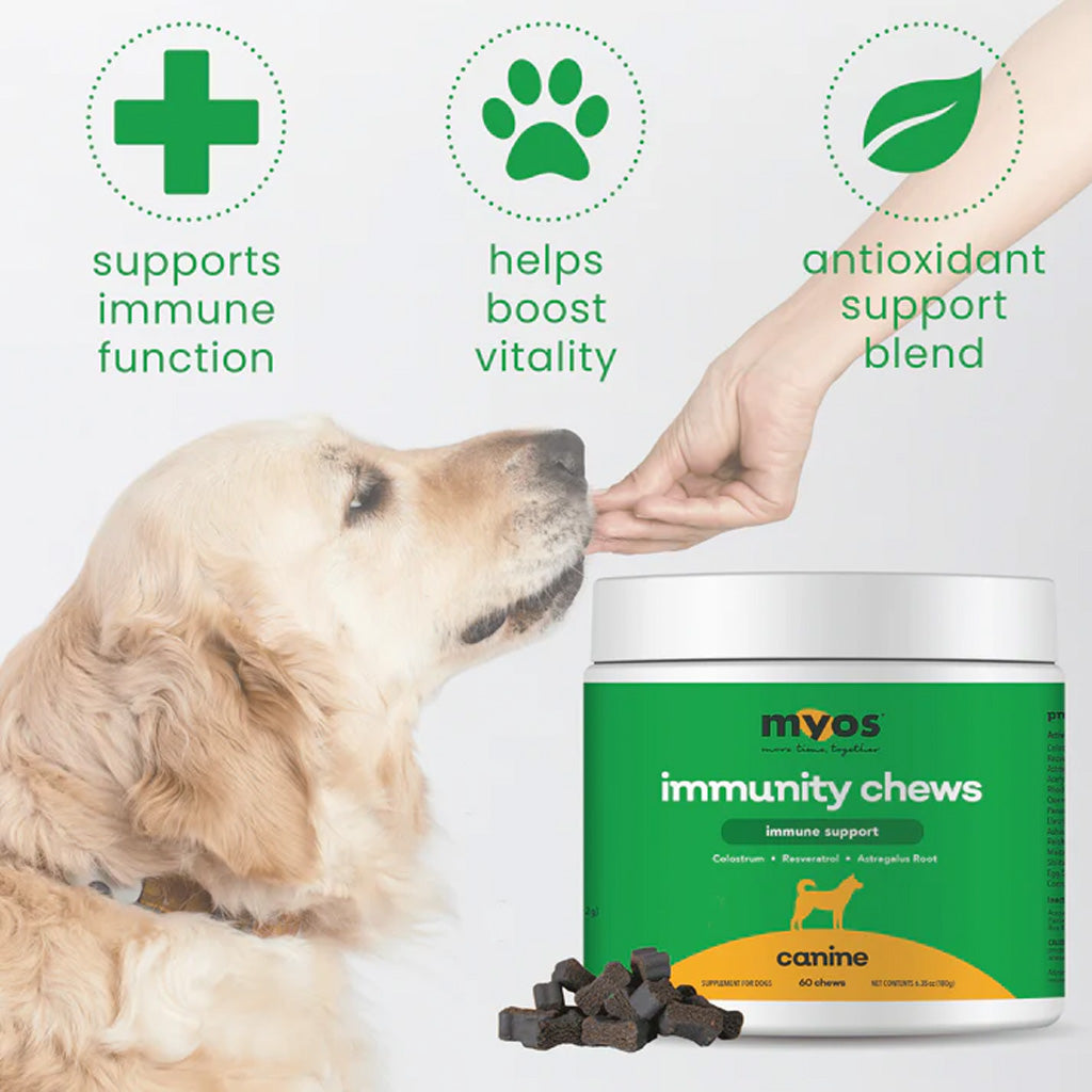 MYOS Canine Immunity Chews – Immune Support for Dogs | UK Stock