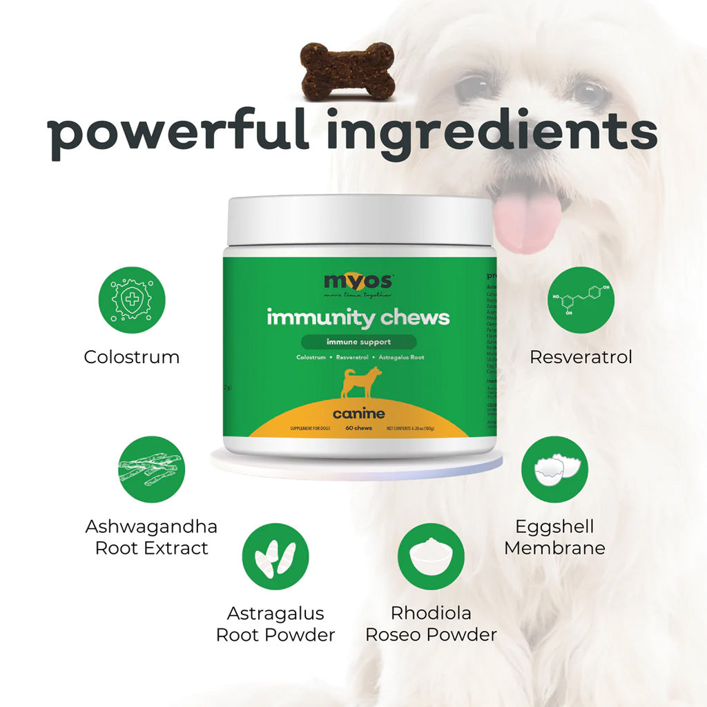 MYOS Canine Immunity Chews ingredients – Immune Support for Dogs | UK Stock