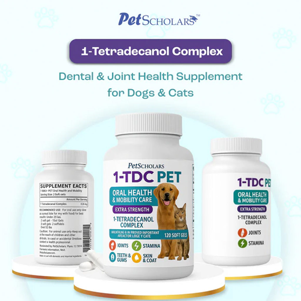 Pet Scholars 1-TDC PET supplement bottles for dental and joint health of dogs and cats on a light blue background.