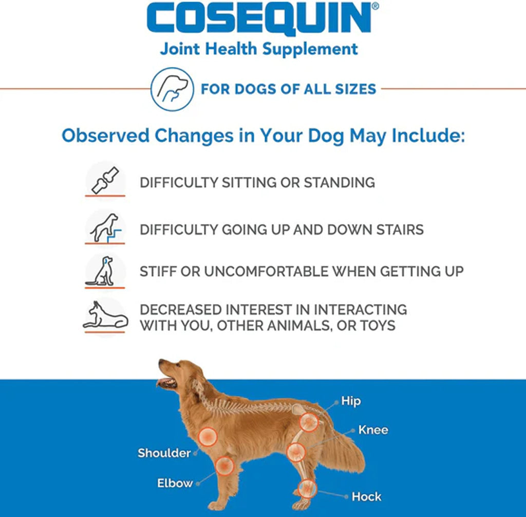 Nutramax Cosequin Maximum Strength Joint Health Supplement Plus MSM & HA for Dogs – Advanced Joint Care | UK Stock signs