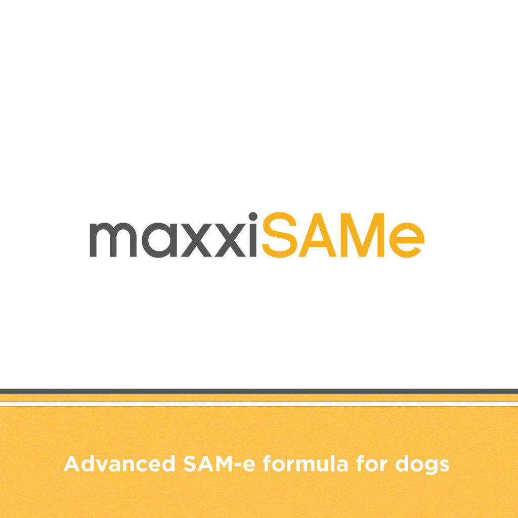 maxxiSAMe for dogs logo
