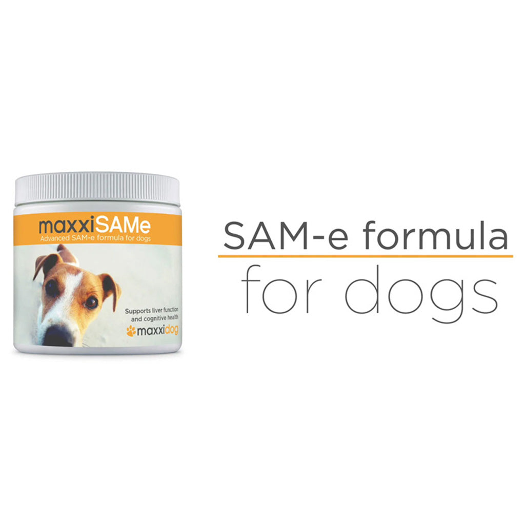 maxxiSAMe for dogs formula for dogs
