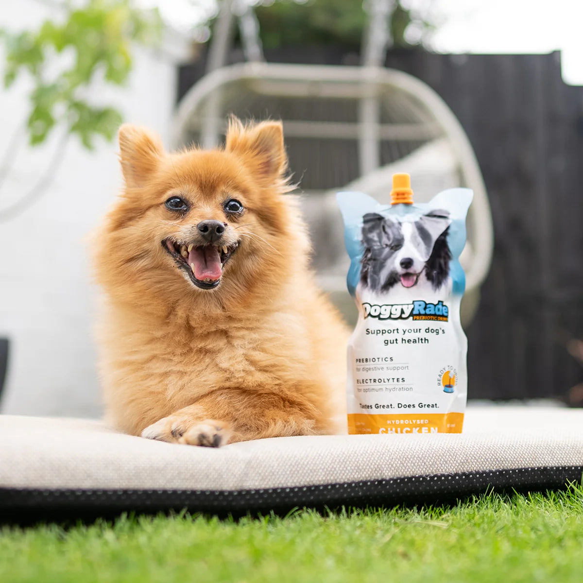 DoggyRade 500ml – Prebiotic Isotonic Drink for Dogs