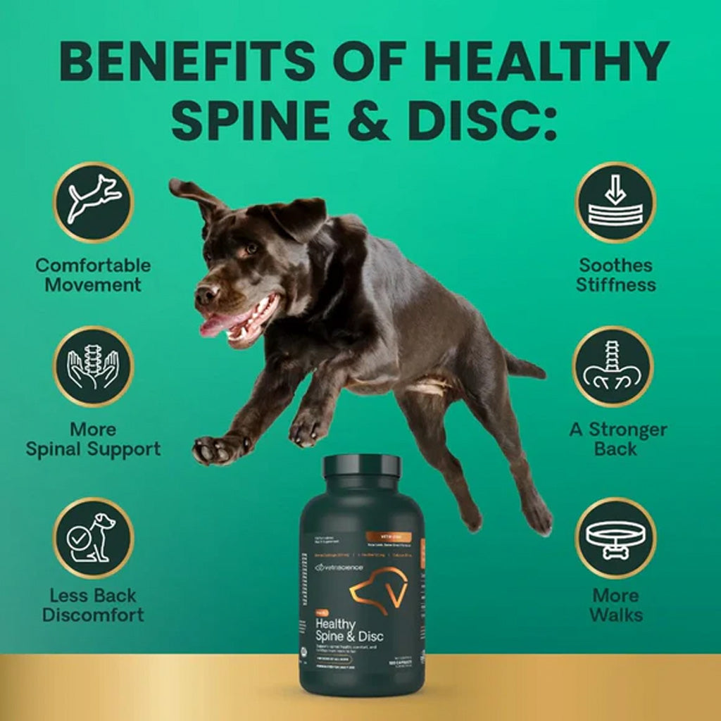 VetriScience Vetri Disc Joint Supplement for Dogs – Spine & Joint Health – UK Stock