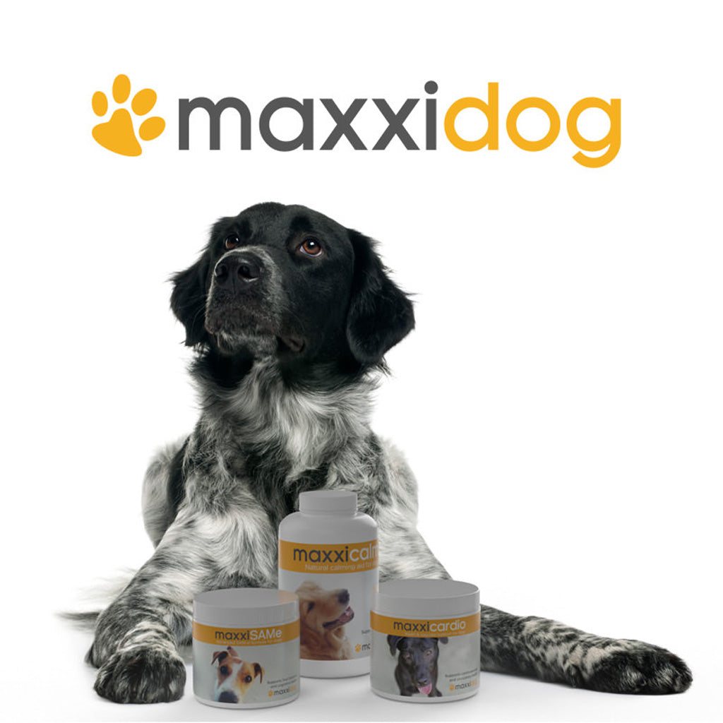 Maxxidog