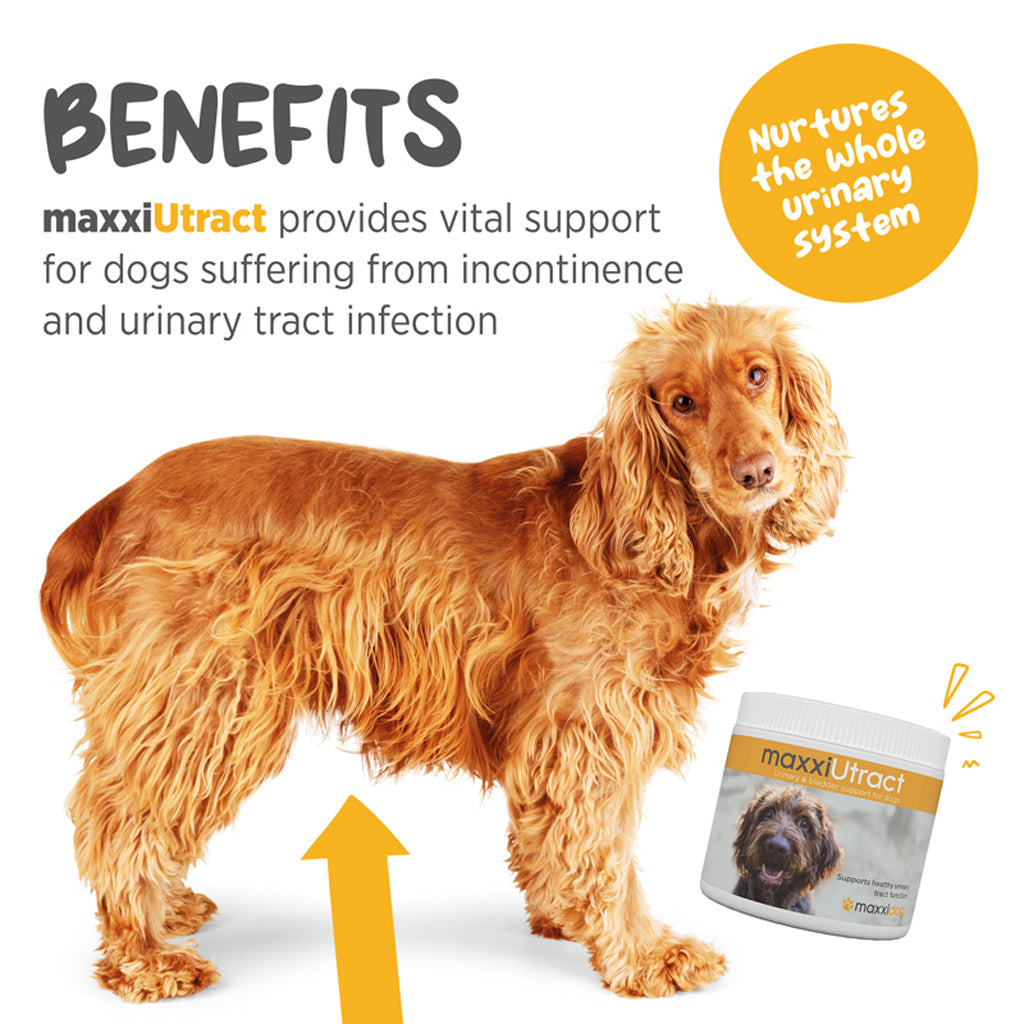 maxxiUtract for dogs benefits