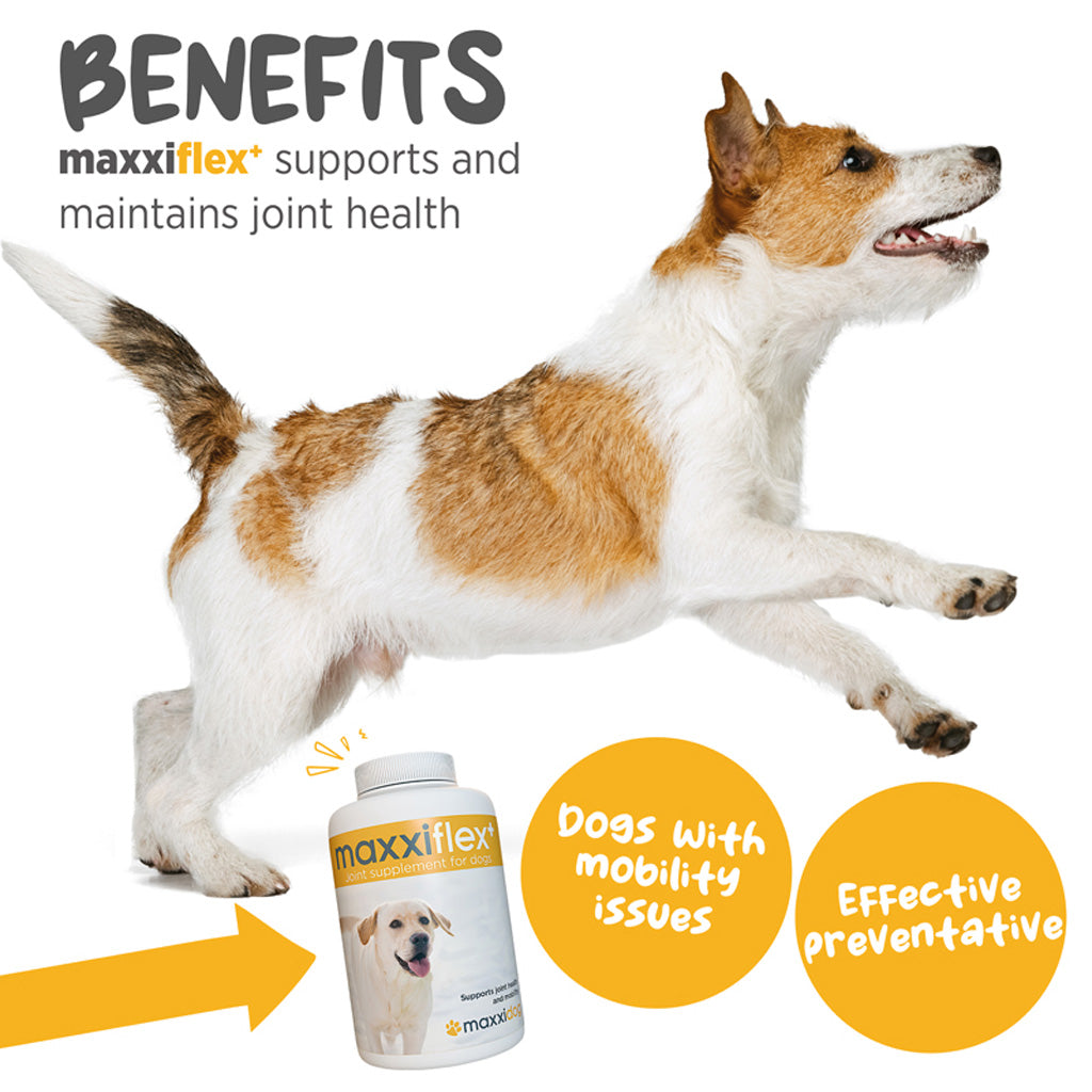 Maxxiflex+ hip & joint supplement for dogs benefits