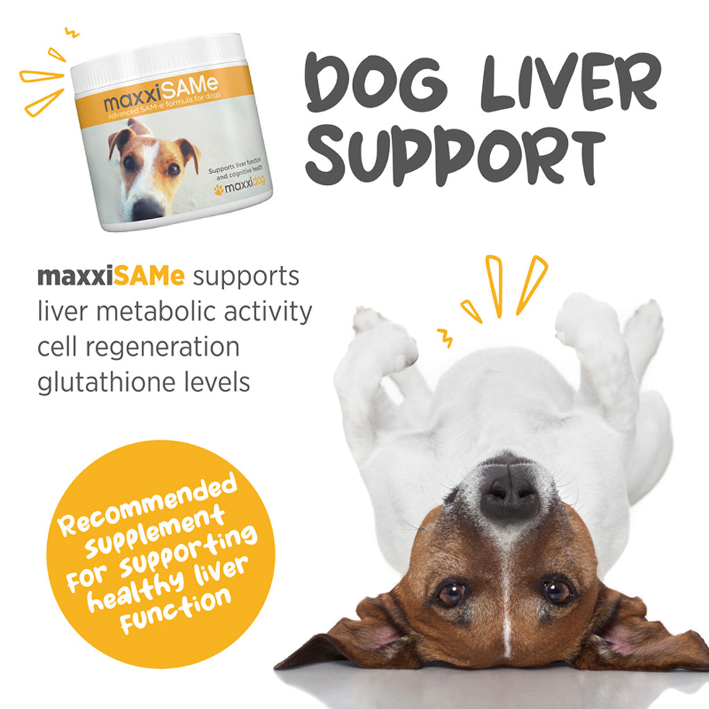 maxxiSAMe for dogs 150 g dog liver support