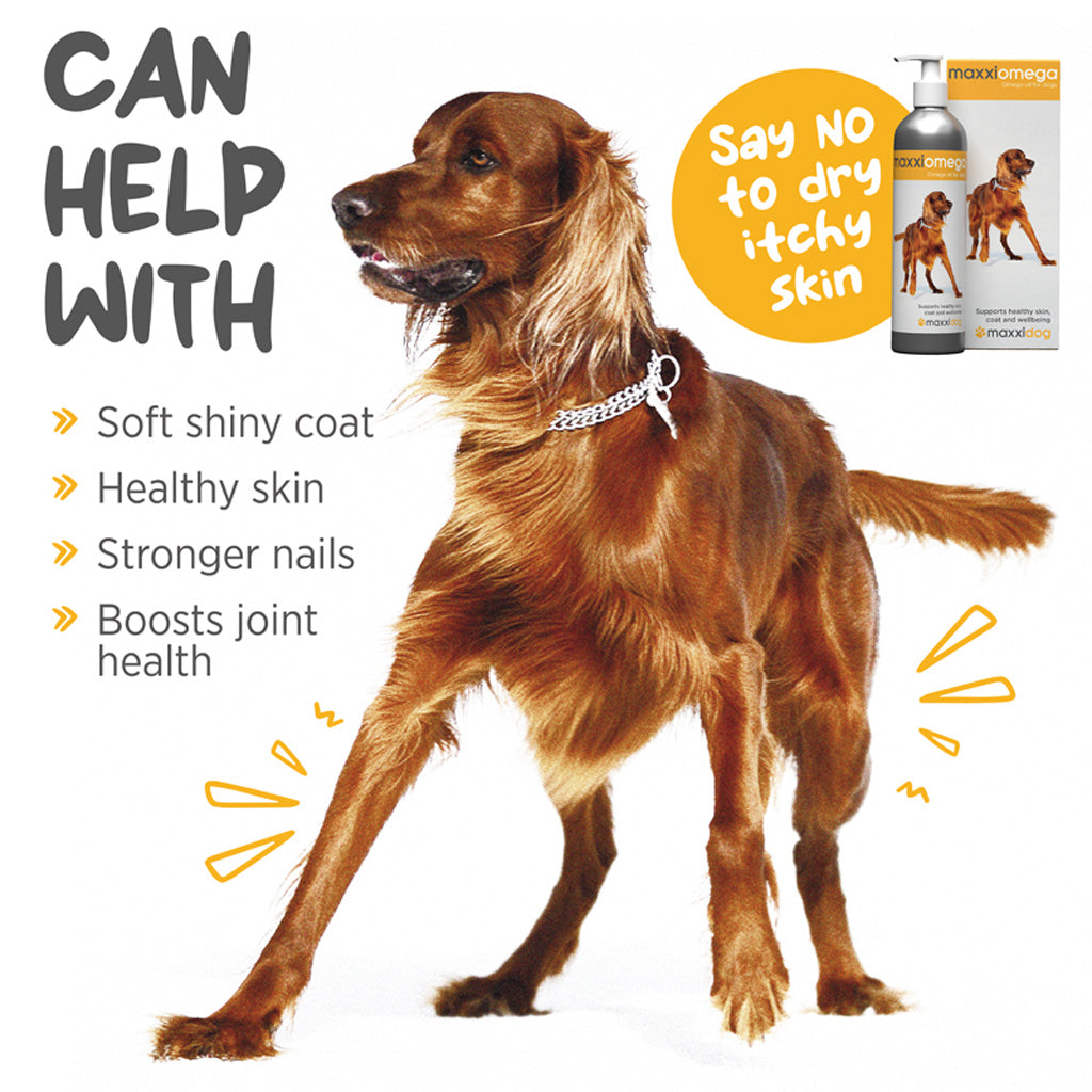 maxxiomega for dogs can help with