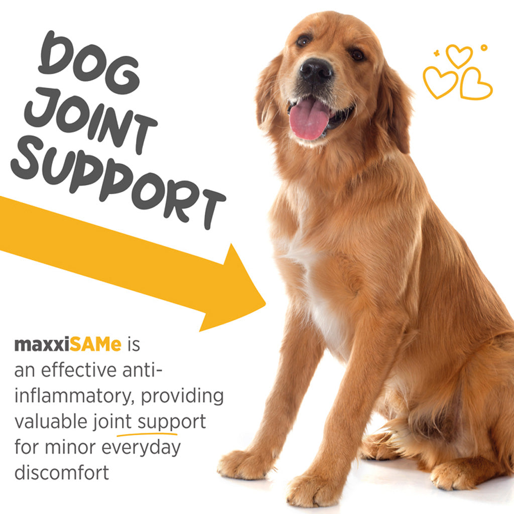 maxxiSAMe for dogs dog joint support