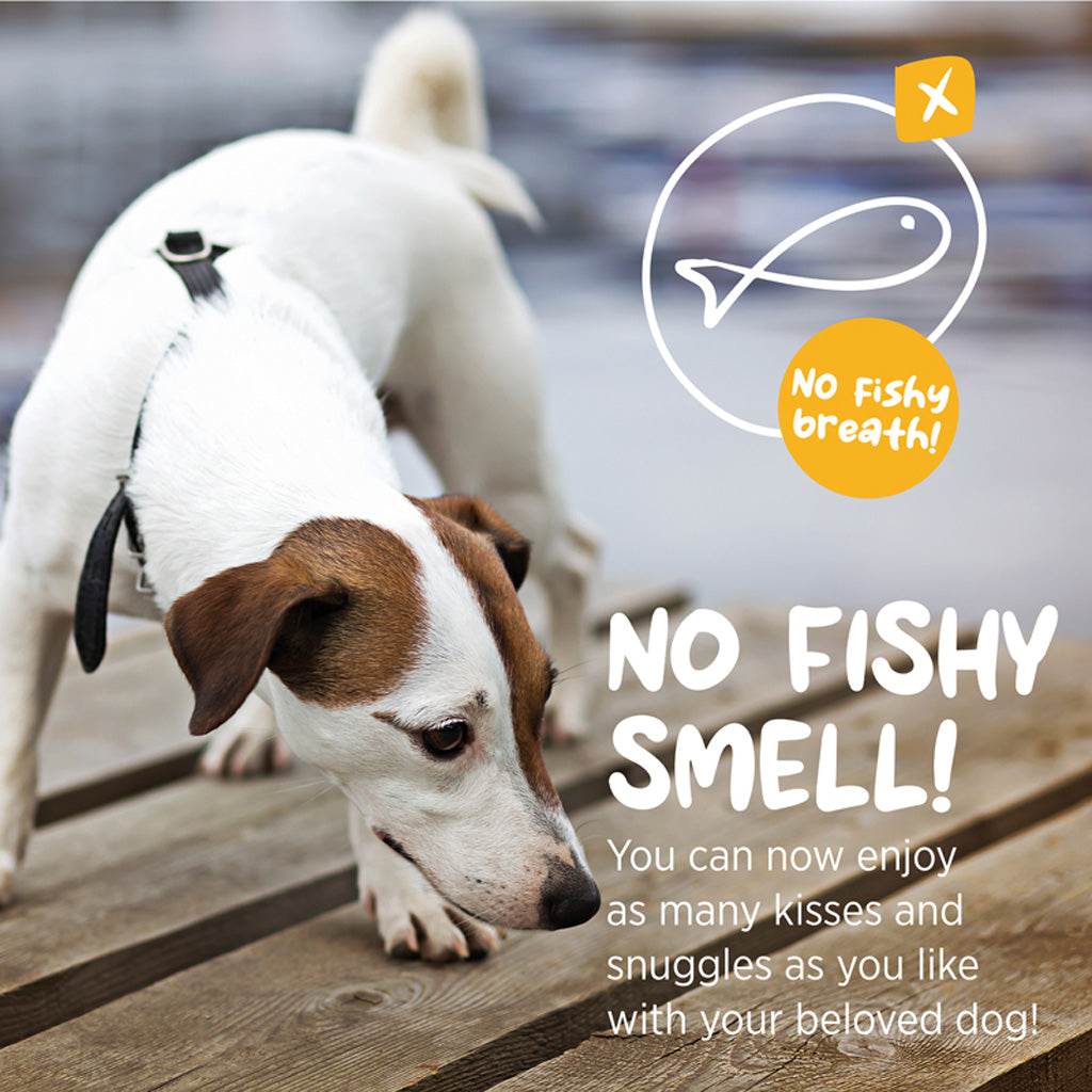 maxxiomega for dogs no fishy smell